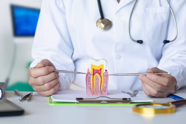 Best Emergency Treatment for Dental Infections or Abscesses in Boardman, OR